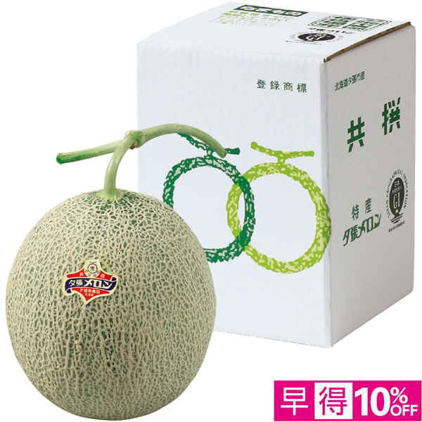 【父の日早得】北海道産（JA夕張市） 夕張メロン 秀品2L1玉【486547】 商品サムネイル