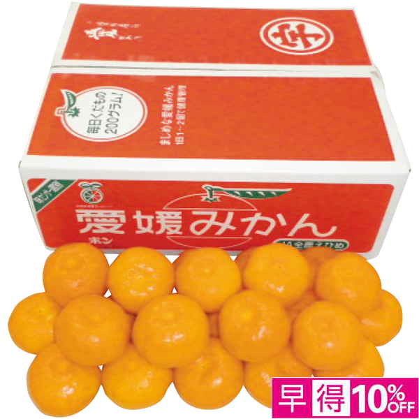 【早得12/10まで】愛媛県産（JAえひめ南玉津選果場） 玉津みかん 【162665】【冬☆】 商品サムネイル