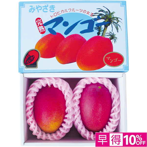【母の日早得】宮崎県産（JA西都） 宮崎マンゴー2個化粧箱【484071】 商品サムネイル