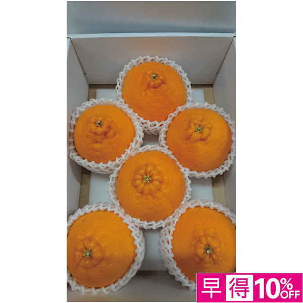 【母の日早得】香川県産 不知火（貯蔵）【484114】 商品サムネイル