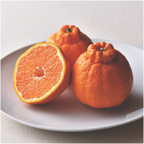 【母の日早得】香川県産 不知火(貯蔵)【484114】 商品画像(1)