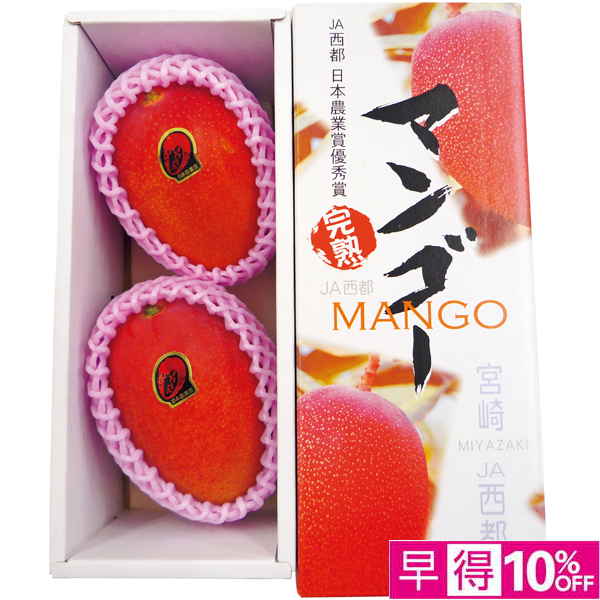 【父の日早得】宮崎県産（JA西都） 宮崎プレミアムマンゴー2個化粧箱【486866】 商品サムネイル
