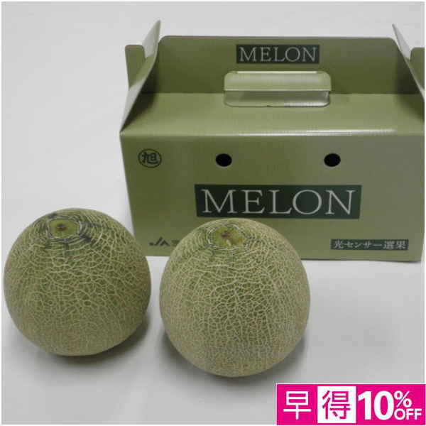 【父の日早得】茨城県産 クインシーメロン 2個【486839】 商品サムネイル