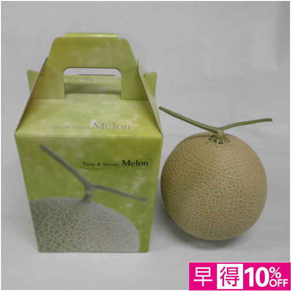 【父の日早得】高知県産 アールスメロン 1個【486848】 商品サムネイル