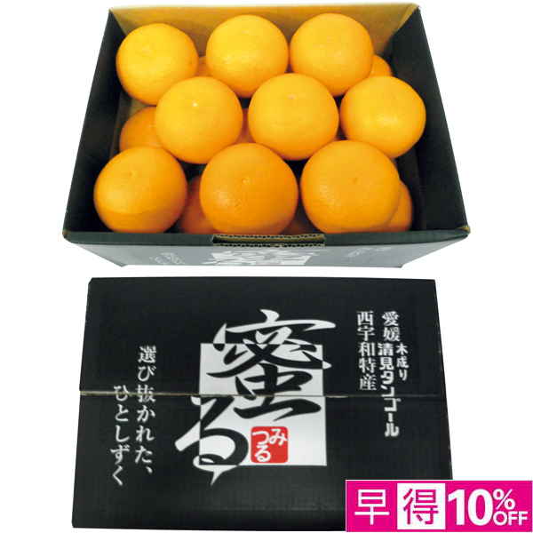 【母の日早得】愛媛県産 蜜る清見オレンジ【484123】 商品サムネイル
