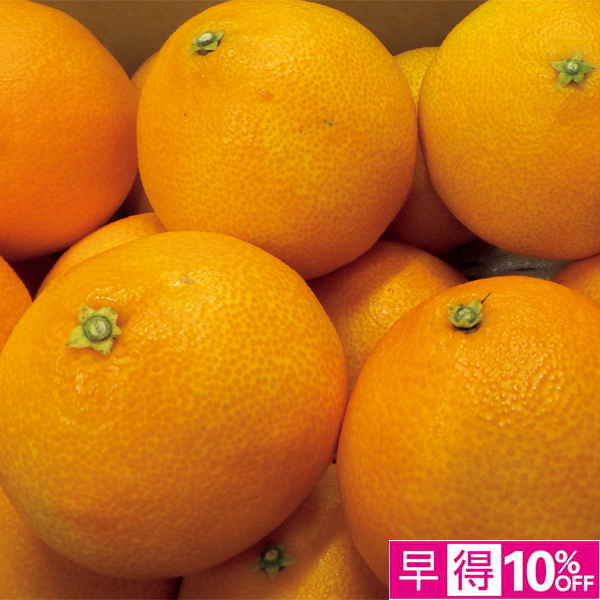☆【早得】愛媛県産（愛媛中央） あいか 【030074】 商品サムネイル