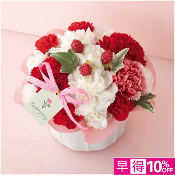 【母の日早得】welzoFLOWER カーネーションアレンジ「ラズベリーパフェ」【480631】 商品サムネイル