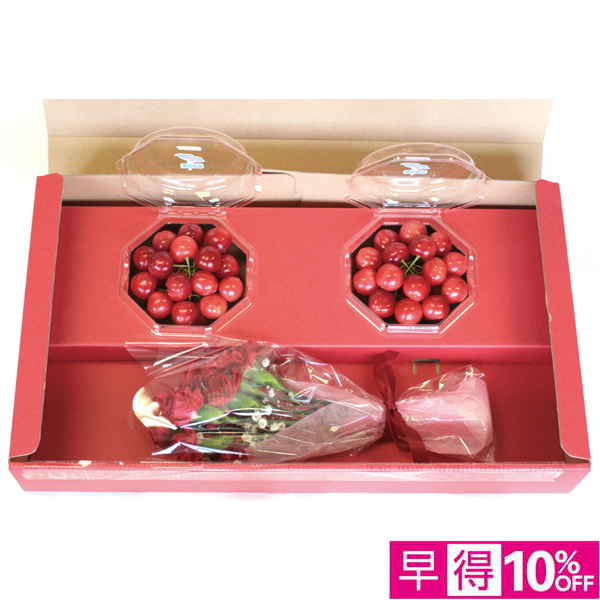 【母の日早得】山形県産 さくらんぼ（佐藤錦）カーネーションミニ花束【483540】 商品サムネイル