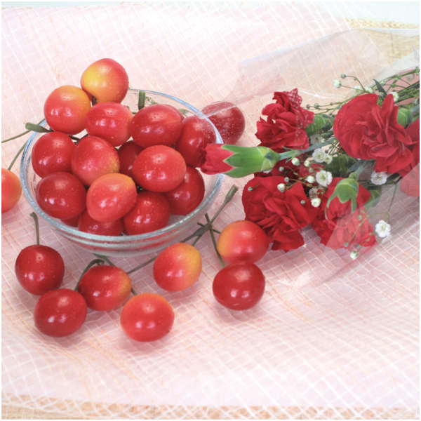 【母の日早得】山形県産 さくらんぼ(佐藤錦)カーネーションミニ花束【483540】 商品画像(1)