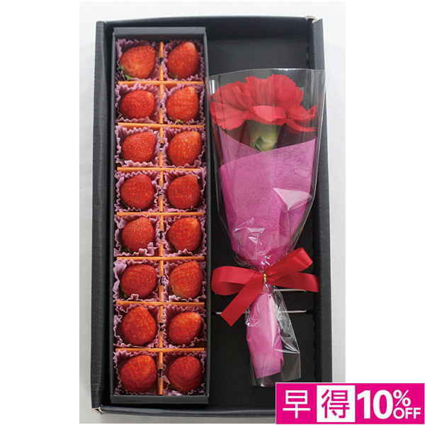 【母の日早得】宮城県産 いちご＆カーネーション【483513】 商品サムネイル