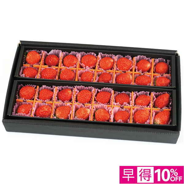 【母の日早得】宮城県産 母の日いちご（とちおとめ）【483522】 商品サムネイル