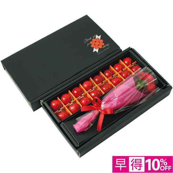 【母の日早得】山形県産 さくらんぼ佐藤錦とカーネーション【480279】 商品サムネイル