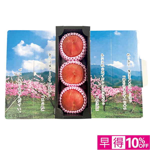 ☆【早得】[山梨県産（JAふえふき一宮西支所）]匠のももプレミアム大玉【020022】 商品サムネイル