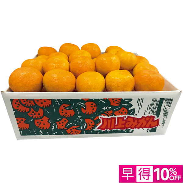 【早得12/8まで】愛媛県産（JAにしうわ川上共選） 川上みかん（大粒・自宅用）【冬】【158051】 商品サムネイル