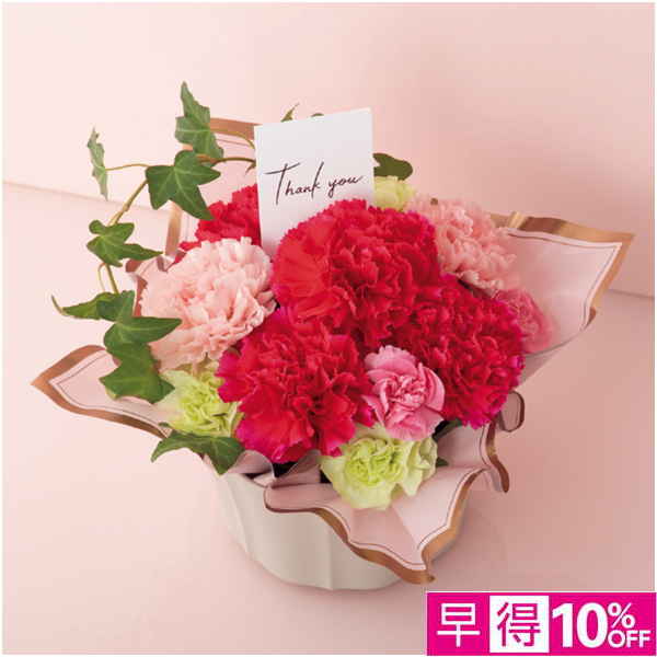 【母の日早得】竹中庭園緑化 フラワーアレンジ「サンクスガーデン」【480543】 商品サムネイル