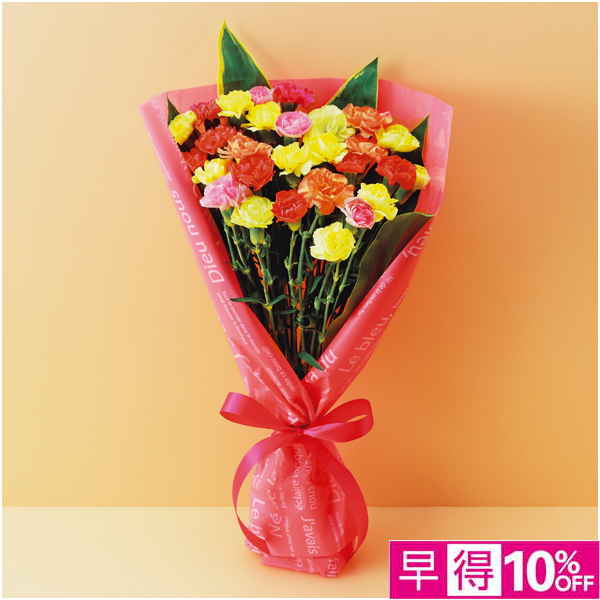 【母の日早得】竹中庭園緑化 彩りカーネーションブーケ【480516】 商品サムネイル