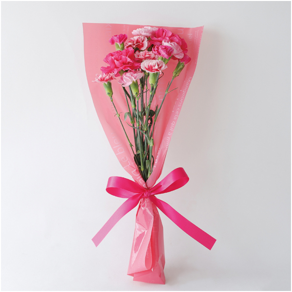 【母の日早得】竹中庭園緑化 母の日ルージュブーケ+ひととえ スイーツファクトリー【485450】 商品画像(2)