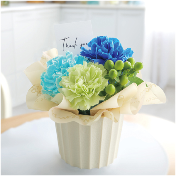 【父の日早得】竹中庭園緑化 父の日カーネーションアレンジ+森の庭 焼菓子【487537】 商品画像(2)