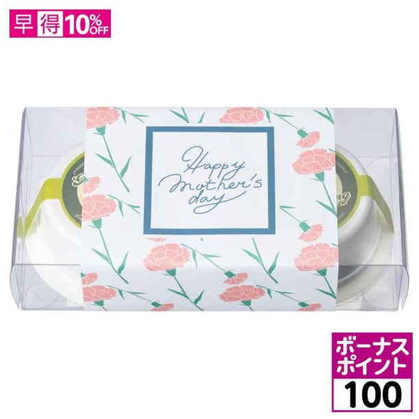 【100ボーナスポイント】【母の日早得】茨木春草園 カーネーションブーケ＋太田製茶 玉露入りショコラプリン【480367】 商品サムネイル