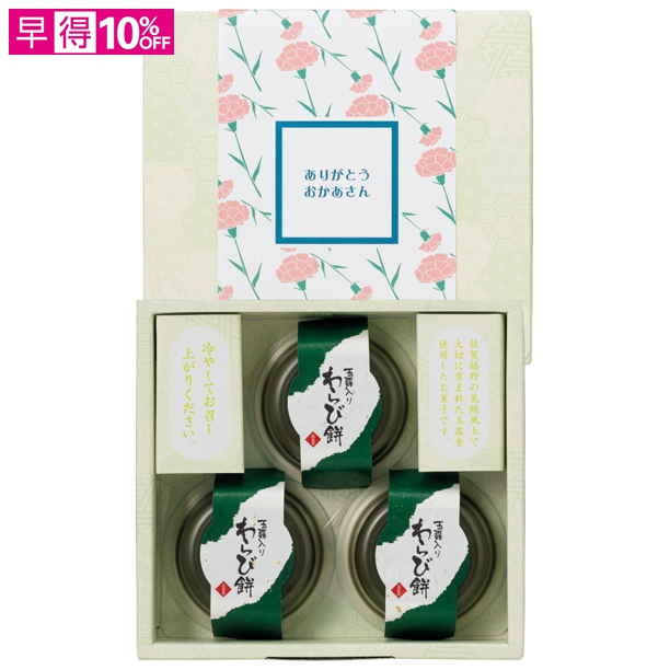 【母の日早得】カーネーション「伝えたい想い」（SUSTEE付）＋太田製茶 玉露入りわらび餅【480376】 商品サムネイル