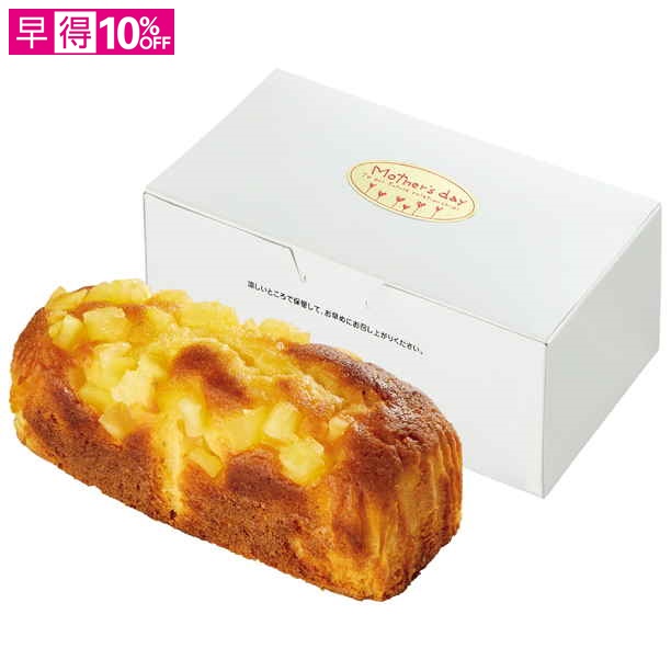 【母の日早得】カーネーション「ホットハート」（SUSTEE付）＋東京堂 芋パウンドケーキ【480260】 商品サムネイル