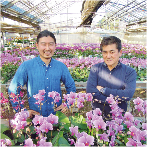 【父の日早得】ranto ミディ胡蝶蘭「カーリー」2本立ち【487120】 商品画像(4)