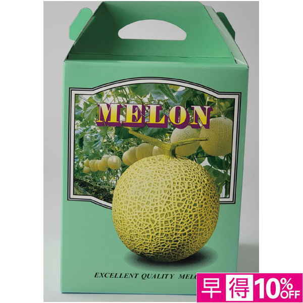 【母の日早得】熊本県産 母 オレンジハートメロン【484211】 商品サムネイル