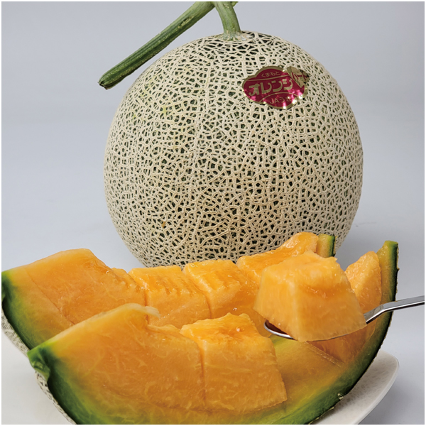 【母の日早得】熊本県産 母 オレンジハートメロン【484211】 商品画像(1)