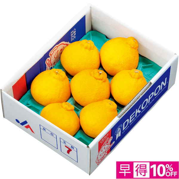 【早得12/10まで】熊本県産 デコポン 計2kg以上【冬】【016038】 商品サムネイル