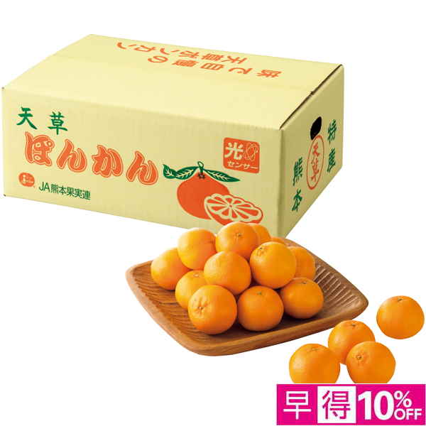 【早得12/10まで】熊本県産 天草ポンカン【冬】【016083】 商品サムネイル