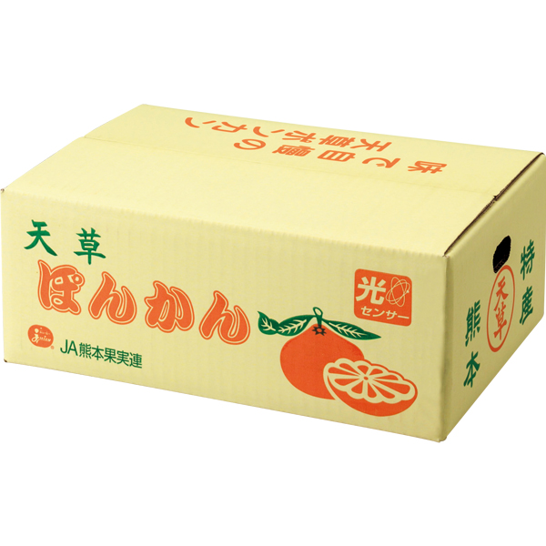 ☆【早得】熊本県産 天草ポンカン 【030144】 商品画像(2)