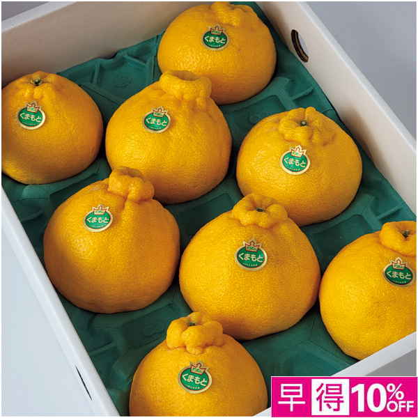 【早得12/10まで】熊本県産 デコポン 計3kg以上【冬】【016047】 商品サムネイル