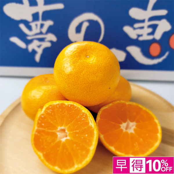 ☆【早得】熊本県産 夢未来みかん 夢の恵 【029069】 商品サムネイル