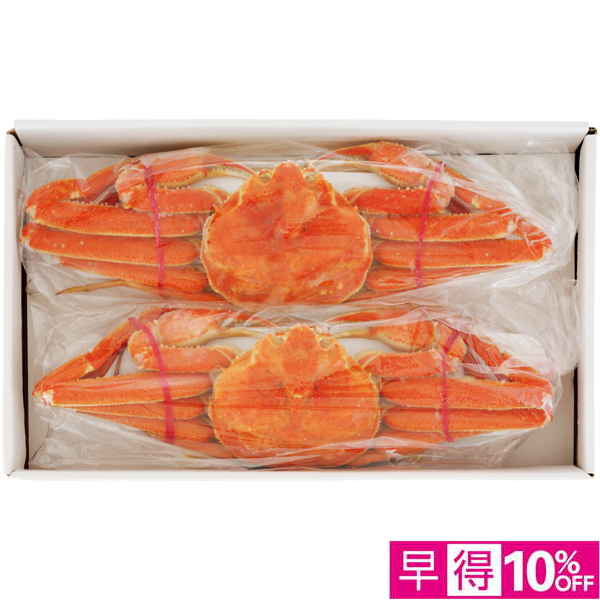 【早得12/10まで】北海道産 浜茹でおおずわいがに姿2尾【冬】【034025】 商品サムネイル