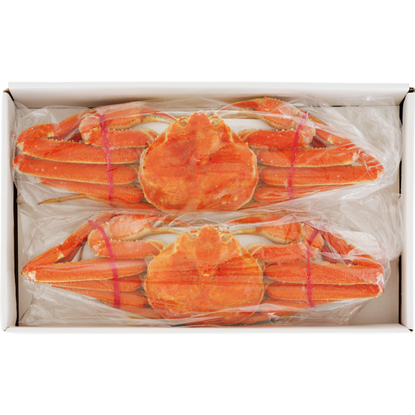 ☆【早得】北海道海産 浜茹でおおずわいがに姿2尾 【016038】 商品画像(1)