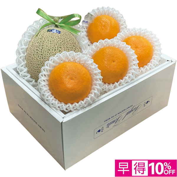 【早得12/10まで】高知県産・愛媛県産 アールスメロン＆紅まどんな 【163530】【冬☆】 商品サムネイル