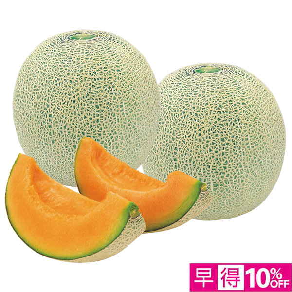☆【早得】[北海道産]自宅用 ツルなし赤肉メロン【145011】 商品サムネイル