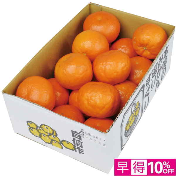 【母の日早得】和歌山県産 セミノール 3kg【483966】 商品サムネイル