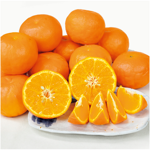 【母の日早得】和歌山県産 セミノール 3kg【483966】 商品画像(1)