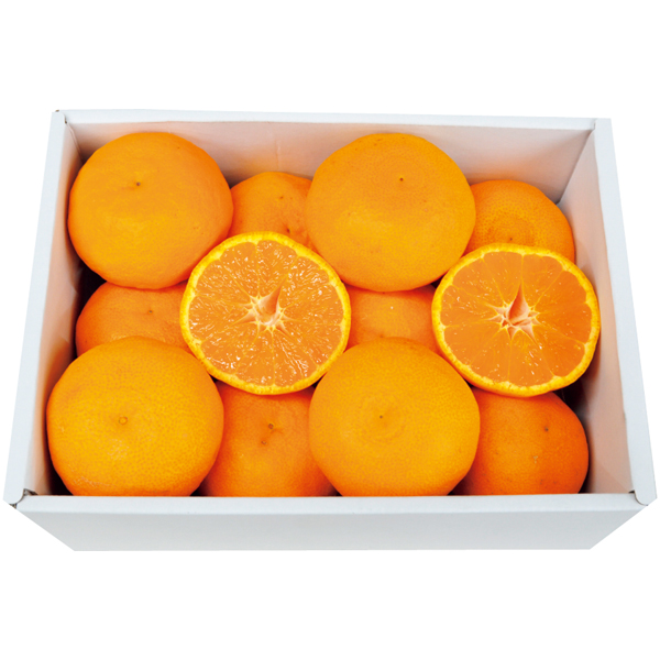 【母の日早得】愛媛県産又は和歌山県産 カラマンダリン 1kg【484017】 商品画像(2)