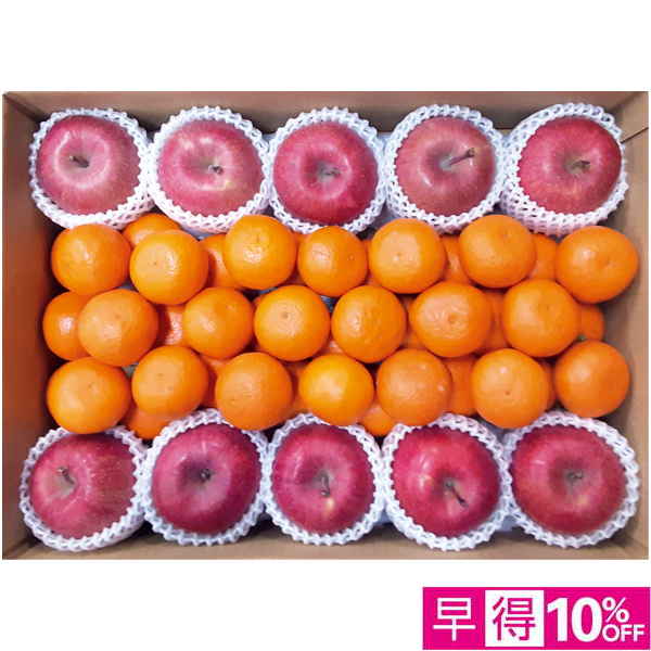 【早得12/10まで】和歌山県産・青森県産 みかん・りんごセット（大） 【163372】【冬☆】 商品サムネイル