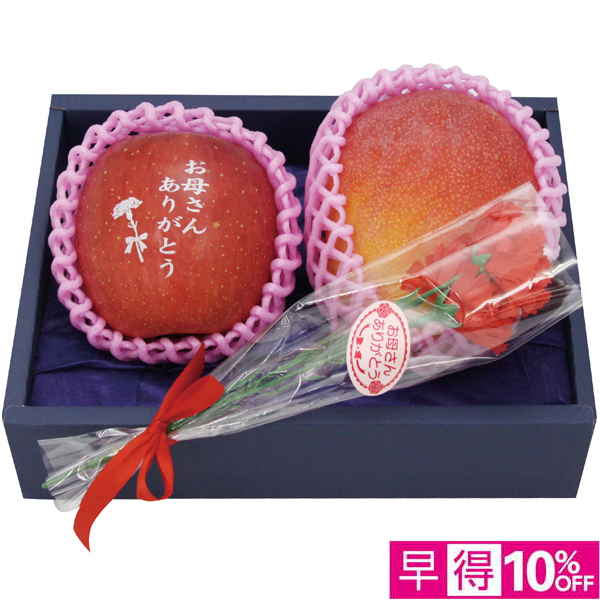 【母の日早得】宮崎県産・青森県産 文字入りりんご・マンゴーセット【484026】 商品サムネイル