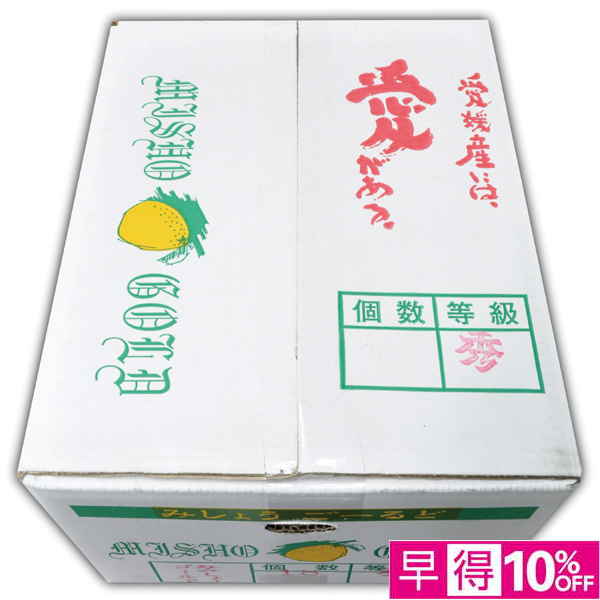 【母の日早得】愛媛県産 みしょうゴールド5kg【483939】 商品サムネイル