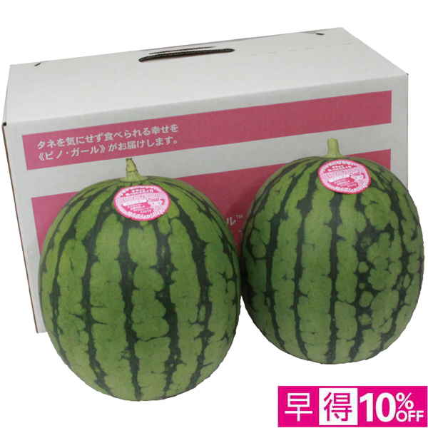 【父の日早得】長崎県又は熊本県又は和歌山県産 ピノガール2玉【486796】 商品サムネイル