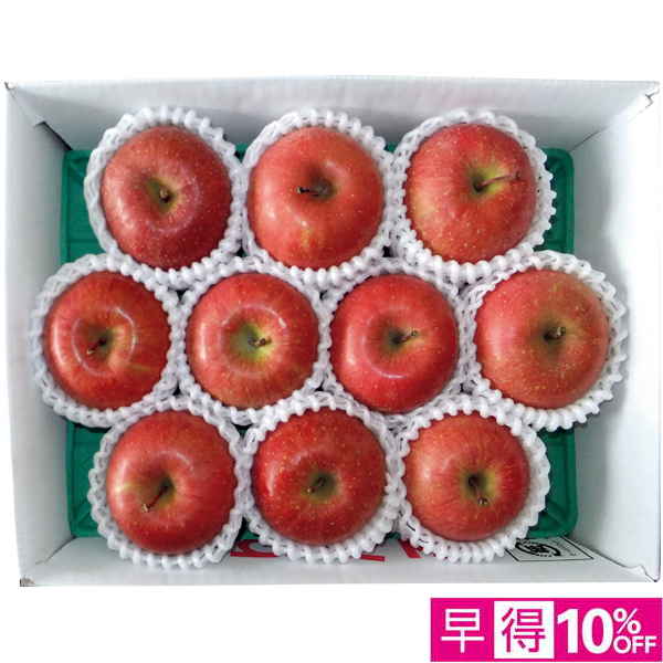 【早得12/10まで】青森県産 高糖度選果・サンふじりんご特選2.5kg 【162045】【冬☆】 商品サムネイル