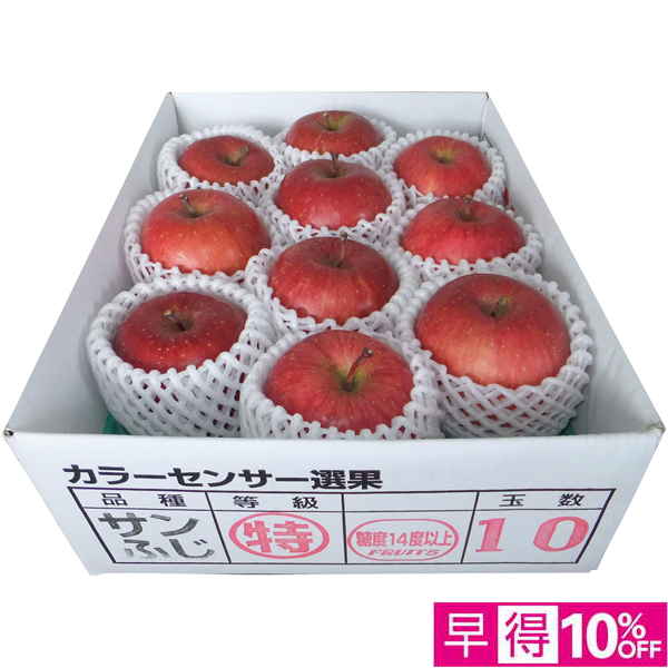 【早得12/10まで】青森県産 高糖度選果・サンふじりんご2.5kg 【162063】【冬☆】 商品サムネイル
