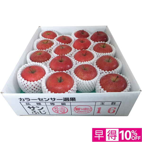 【早得12/10まで】青森県産 高糖度選果・サンふじりんご4kg 【162072】【冬☆】 商品サムネイル