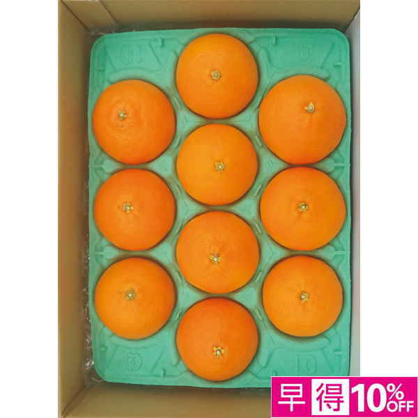 ☆【早得】愛媛県産 あいか（並詰め） 【030065】 商品サムネイル