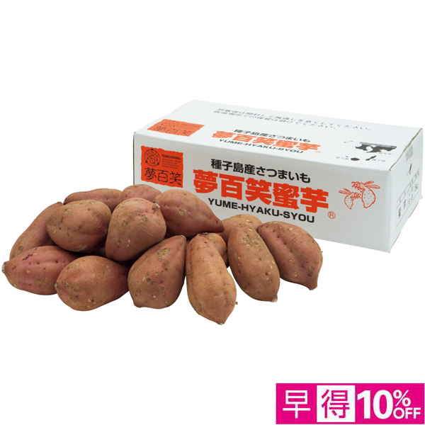 【早得12/10まで】鹿児島県産 種子島 夢百姓安納芋5kg 【163558】【冬☆】 商品サムネイル