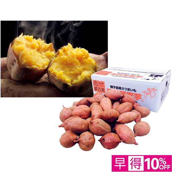 【早得12/10まで】鹿児島県産 種子島 夢百姓安納芋小粒3kg（自宅用）【冬】【158121】 商品サムネイル